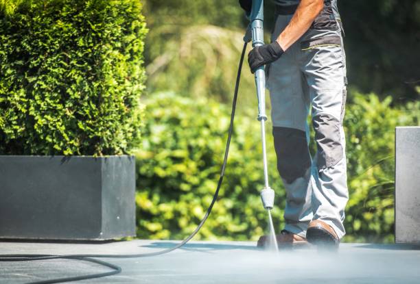 Best Brick and Stone Cleaning in Fayette, MO